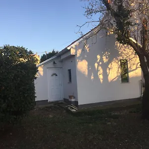https://villa-mediterranea-apartments.pula-hotels.org
